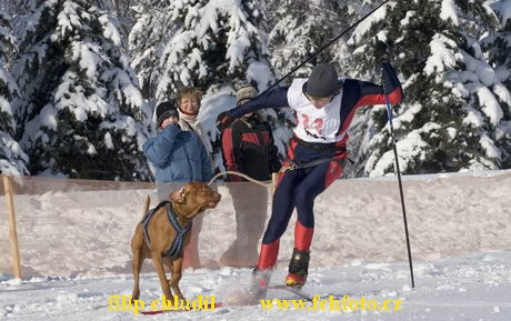 Decinsky sneznik 05 - 206.jpg